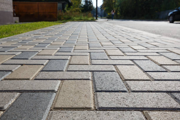 Best Professional Driveway Pavers  in Golden Shores, AZ